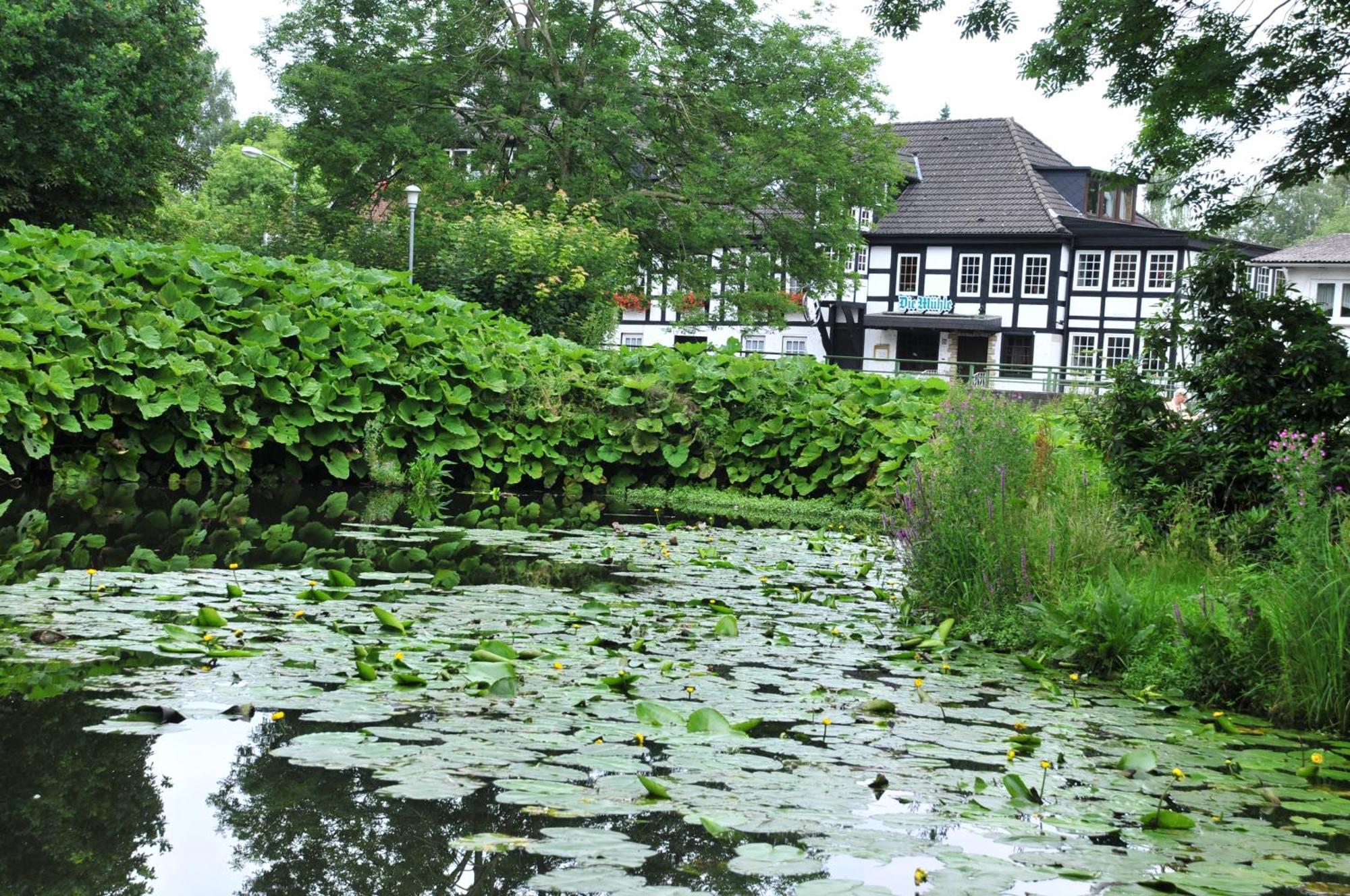 Akzent Hotel Zur Wasserburg - Hotel Garni Bed & Breakfast Harpstedt Eksteriør bilde
